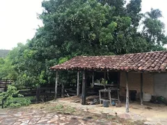 Fazenda / Sítio / Chácara com 3 Quartos à venda, 120m² no Zona Rural, Pirenópolis - Foto 12