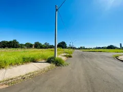 Terreno / Lote / Condomínio à venda, 28000m² no Campestre, Piracicaba - Foto 22