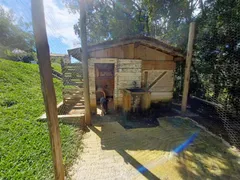 Fazenda / Sítio / Chácara à venda, 220m² no Laranjeiras de Caldas, Caldas - Foto 13