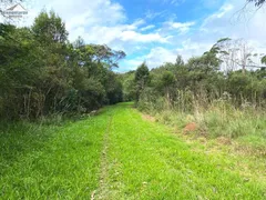 Terreno / Lote / Condomínio à venda, 300m² no Campo do Meio, Campo Largo - Foto 4