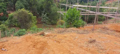 Fazenda / Sítio / Chácara à venda, 3000m² no Timbui, Fundão - Foto 9