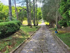 Fazenda / Sítio / Chácara com 4 Quartos à venda, 1900m² no São Roque, São Roque - Foto 7