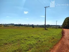 Terreno / Lote Comercial à venda, 240000m² no Betel, Paulínia - Foto 4