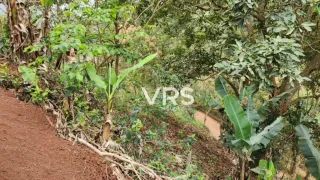 Terreno / Lote / Condomínio à venda, 475m² no Volta do Piao, Teresópolis - Foto 7