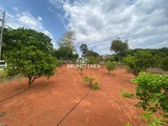 Fazenda / Sítio / Chácara com 6 Quartos à venda, 350m² no Vale Do Amanhecer, Igarapé - Foto 31