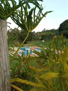 Fazenda / Sítio / Chácara com 5 Quartos à venda, 4641m² no Jardim dos Lagos, Itatiba - Foto 14