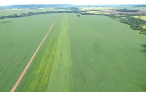 Fazenda / Sítio / Chácara com 7 Quartos à venda, 200m² no Area Rural de Rio Verde, Rio Verde - Foto 1