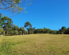 Fazenda / Sítio / Chácara à venda, 96000m² no Dom Joaquim, Brusque - Foto 1