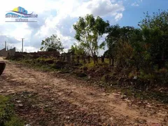 Fazenda / Sítio / Chácara com 1 Quarto à venda, 1100m² no Parque Aeroporto, Campinas - Foto 2