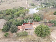 Fazenda / Sítio / Chácara à venda, 60m² no Zona Rural, Piracanjuba - Foto 2