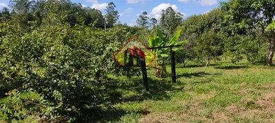 Fazenda / Sítio / Chácara com 1 Quarto à venda, 48000m² no Area Rural de Taubate, Taubaté - Foto 9