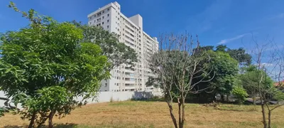 Apartamento com 2 Quartos à venda, 52m² no Conjunto Habitacional São Deocleciano, São José do Rio Preto - Foto 2