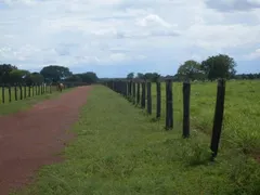 Fazenda / Sítio / Chácara com 1 Quarto à venda, 833460000m² no Centro, São Félix do Araguaia - Foto 4