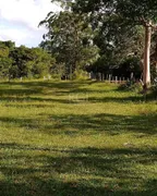 Fazenda / Sítio / Chácara com 1 Quarto à venda, 50001m² no Fiuza, Viamão - Foto 5