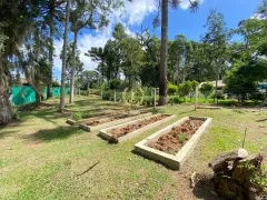 Fazenda / Sítio / Chácara com 4 Quartos à venda, 8000m² no Faxina, São José dos Pinhais - Foto 17