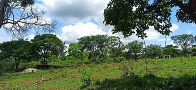 Terreno / Lote / Condomínio à venda, 20000m² no Centro, Matozinhos - Foto 11