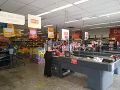 Loja / Salão / Ponto Comercial para alugar, 491m² no Vila Marieta, Campinas - Foto 4
