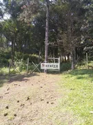 Fazenda / Sítio / Chácara com 2 Quartos à venda, 236m² no Casa Vermelha, Ribeirão Pires - Foto 13