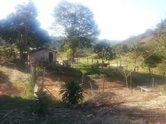 Fazenda / Sítio / Chácara com 3 Quartos à venda, 290000m² no , Lima Duarte - Foto 6