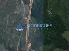 Fazenda / Sítio / Chácara com 4 Quartos à venda, 250000m² no Centro, Conde - Foto 7