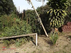 Fazenda / Sítio / Chácara com 1 Quarto à venda, 40m² no Chacara Recanto Verde, Cotia - Foto 6