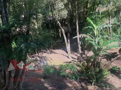 Fazenda / Sítio / Chácara com 2 Quartos à venda, 4400m² no Zona Rural, Mandirituba - Foto 12