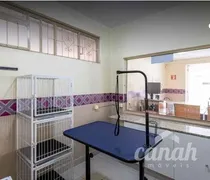 Casa Comercial com 15 Quartos para alugar, 268m² no Vila Seixas, Ribeirão Preto - Foto 8