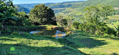 Fazenda / Sítio / Chácara à venda, 120000m² no Zona Rural, Monte Belo do Sul - Foto 14