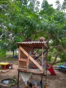 Fazenda / Sítio / Chácara com 3 Quartos à venda, 9801m² no Zona Rural, São Cristóvão - Foto 4
