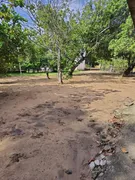 Fazenda / Sítio / Chácara com 3 Quartos à venda, 3000m² no Cana Brava, Macaíba - Foto 3