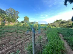 Fazenda / Sítio / Chácara com 3 Quartos à venda, 230m² no Zona Rural, São Sebastião do Oeste - Foto 58