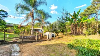 Fazenda / Sítio / Chácara com 3 Quartos à venda, 600m² no Vale Verde, Valinhos - Foto 36