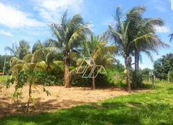 Fazenda / Sítio / Chácara com 2 Quartos à venda, 180m² no Zona Rural, Marília - Foto 5