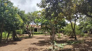 Fazenda / Sítio / Chácara com 3 Quartos à venda, 20000m² no Setor Sul, Brasília - Foto 2