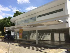 Loja / Salão / Ponto Comercial para alugar, 350m² no Itaim Bibi, São Paulo - Foto 5