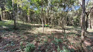 Terreno / Lote / Condomínio à venda no Condomínio Recanto da Serra, Brumadinho - Foto 7