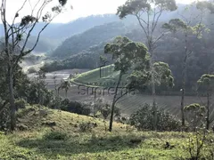 Fazenda / Sítio / Chácara à venda, 350000m² no Gaspar Grande, Gaspar - Foto 11