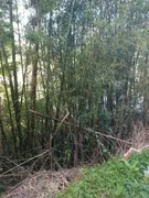 Terreno / Lote / Condomínio à venda, 10m² no Chácara Flora, Petrópolis - Foto 11