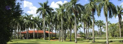 Casa de Condomínio com 4 Quartos à venda, 438m² no , Aracoiaba da Serra - Foto 75