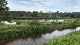 Fazenda / Sítio / Chácara com 3 Quartos à venda, 34000m² no Nova Uberlandia, Uberlândia - Foto 8