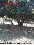 Fazenda / Sítio / Chácara com 1 Quarto à venda, 30000m² no Centro, Bom Jardim de Minas - Foto 3