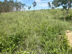 Fazenda / Sítio / Chácara à venda, 170000m² no Zona Rural, Passa Tempo - Foto 17