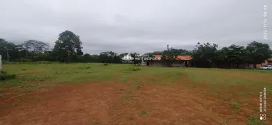 Terreno / Lote / Condomínio para alugar, 10000m² no Santa Maria, Teresina - Foto 11