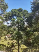 Terreno / Lote / Condomínio à venda, 4000m² no Itaipava, Petrópolis - Foto 3