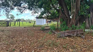 Fazenda / Sítio / Chácara com 2 Quartos à venda, 54250000m² no Zona Rural, Buritizeiro - Foto 22