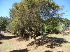 Fazenda / Sítio / Chácara com 3 Quartos à venda, 1530m² no Pavão-Canguera, São Roque - Foto 47