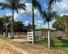 Fazenda / Sítio / Chácara com 3 Quartos à venda, 36m² no Centro, Carmo do Cajuru - Foto 26