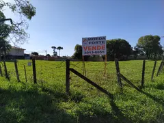 Terreno / Lote / Condomínio à venda, 1145m² no Butiatuvinha, Curitiba - Foto 13