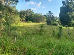 Terreno / Lote / Condomínio à venda, 6000m² no Granja Viana, Cotia - Foto 3