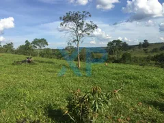 Terreno / Lote / Condomínio à venda, 120000m² no Centro, São Sebastião do Oeste - Foto 53